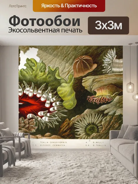 Фотообои Коралловые анемоны океанского рифа