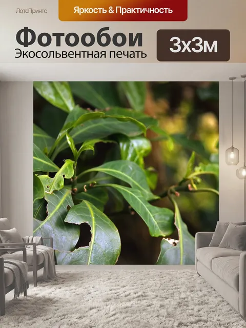 Фотообои зеленые листья на дереве