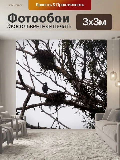 Фотообои Коморские гнезда