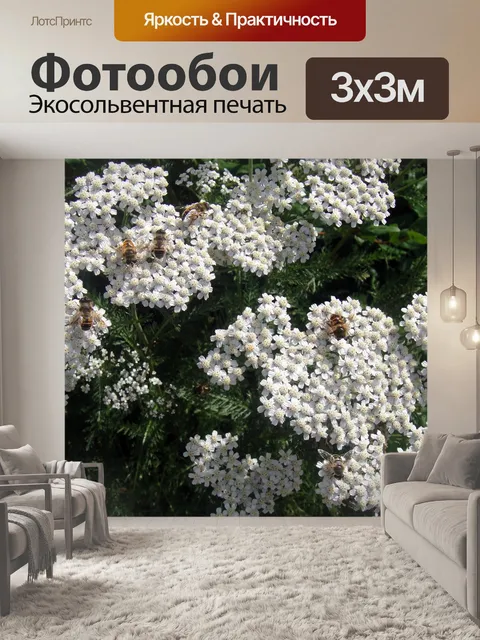 Фотообои Белые цветы и пчелы