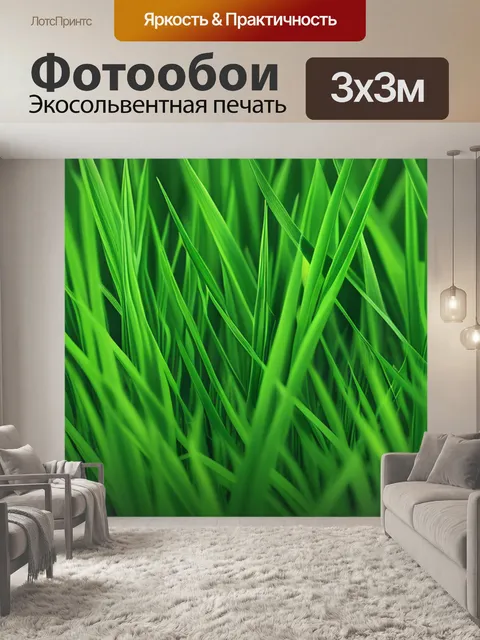 Фотообои с зеленая трава минимал