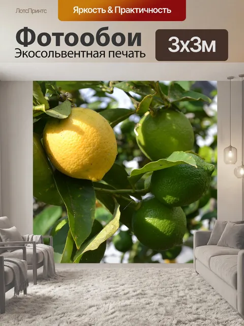 Фотообои Лимон