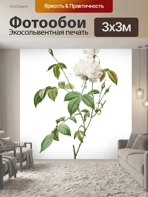 Фотообои Винтажная иллюстрация цветка розы