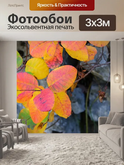 Фотообои Сумах