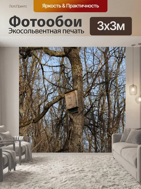 Фотообои Птицы