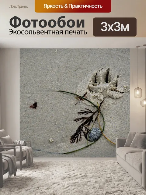 Фотообои След собаки в песке