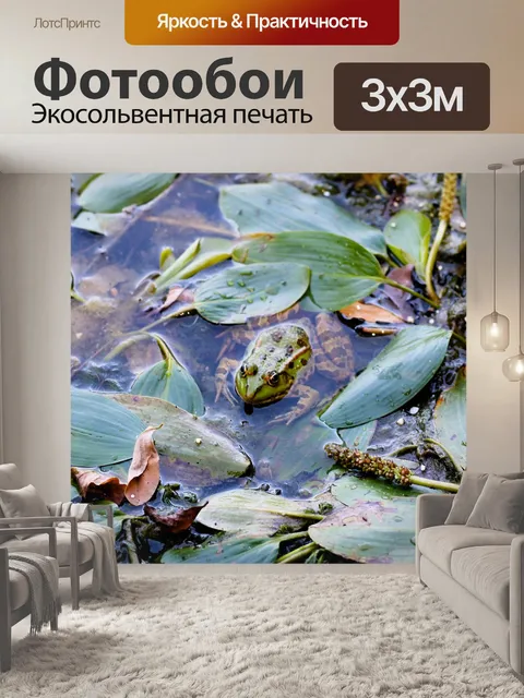 Фотообои Зеленая лягушка