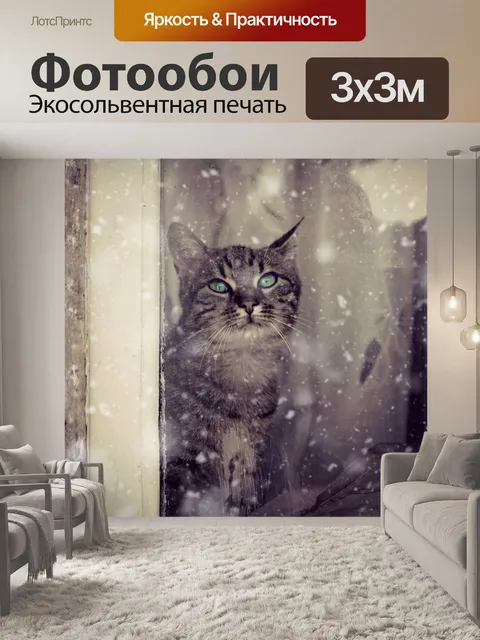 Фотообои Кот