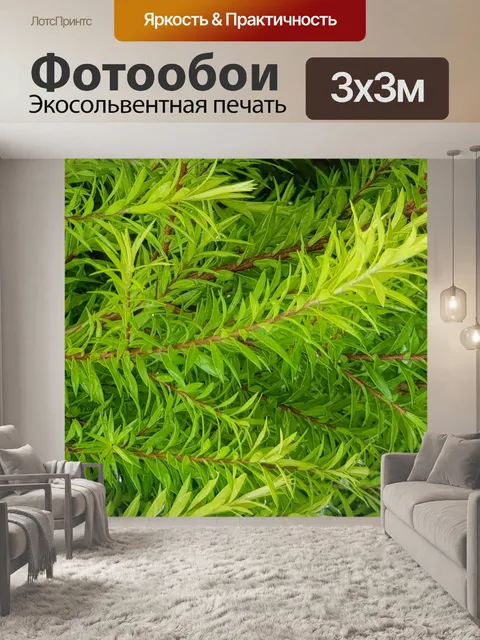 Фотообои Зеленые листья