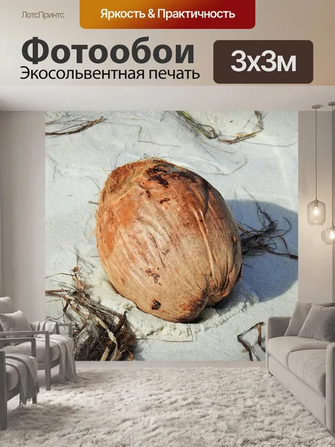 Фотообои Кокос
