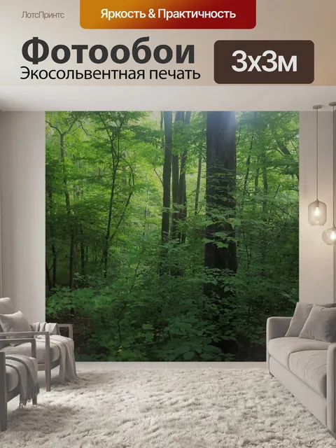 Фотообои Лес с солнечным светом