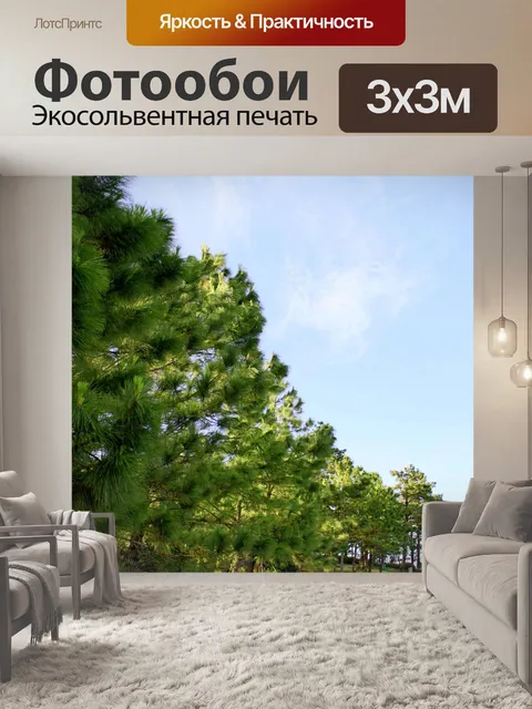 Фотообои Природа соснового леса в Фу Руа