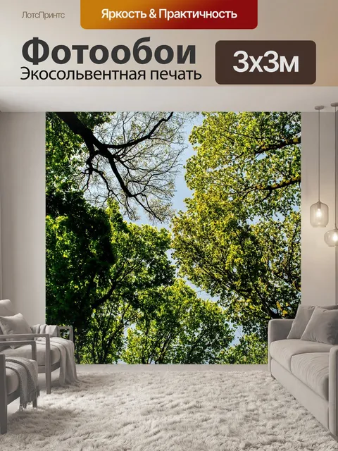 Фотообои Вид