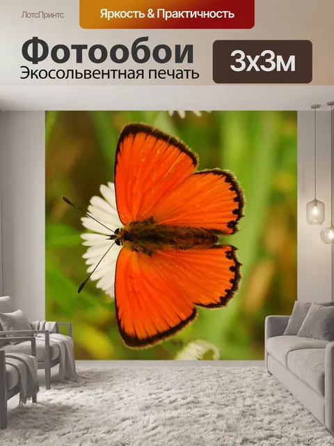 Фотообои Природа