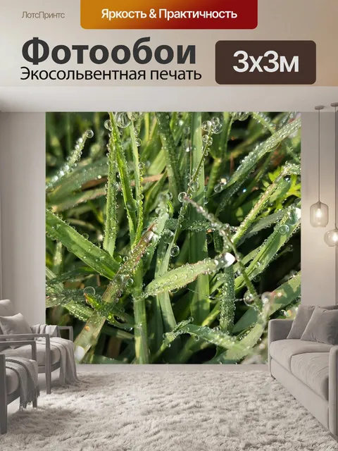Фотообои Трава