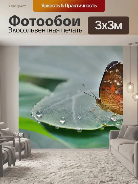 Фотообои Бабочка