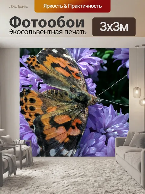 Фотообои Бабочка монарх