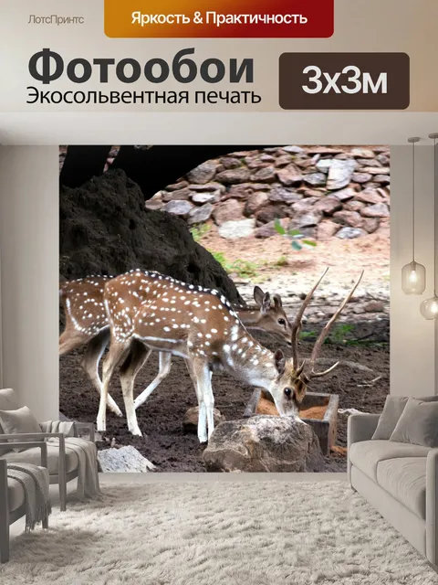 Фотообои Пятнистый олень 6