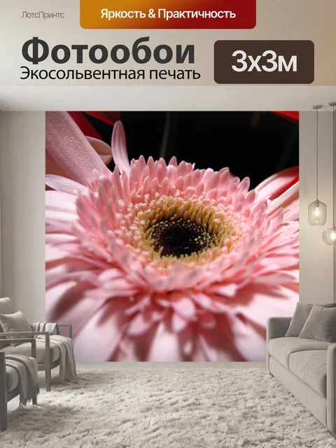Фотообои Красивый розовый цветок, ромашка
