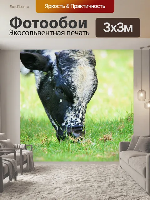 Фотообои Глава молодой крупного рогатого скота