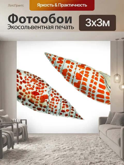 Фотообои Морская Ракушка Улитка Винтаж Морская