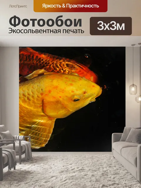 Фотообои Кои