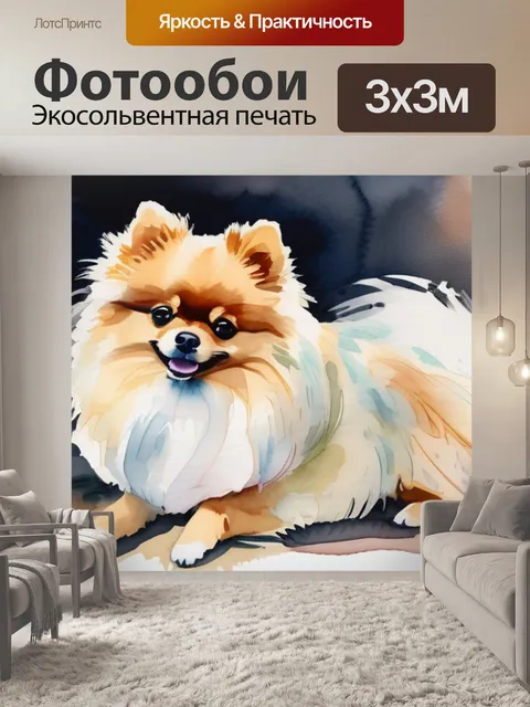 Фотообои собаки шпиц