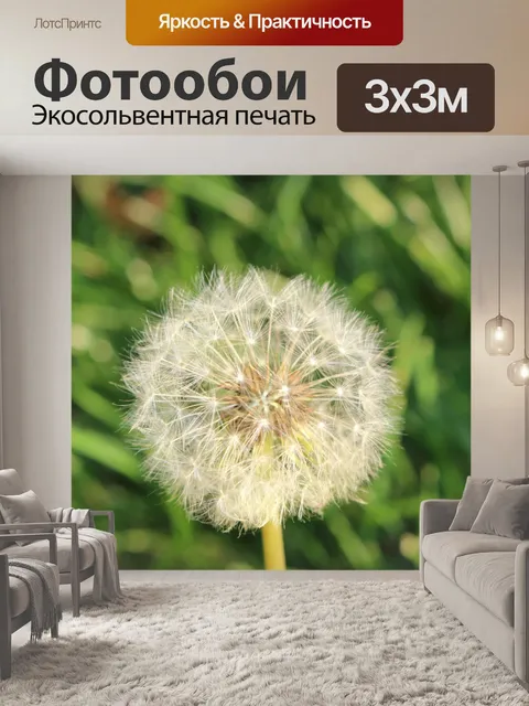Фотообои Одуванчик