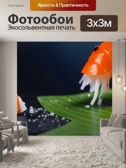 Фотообои суши противостояние стихий