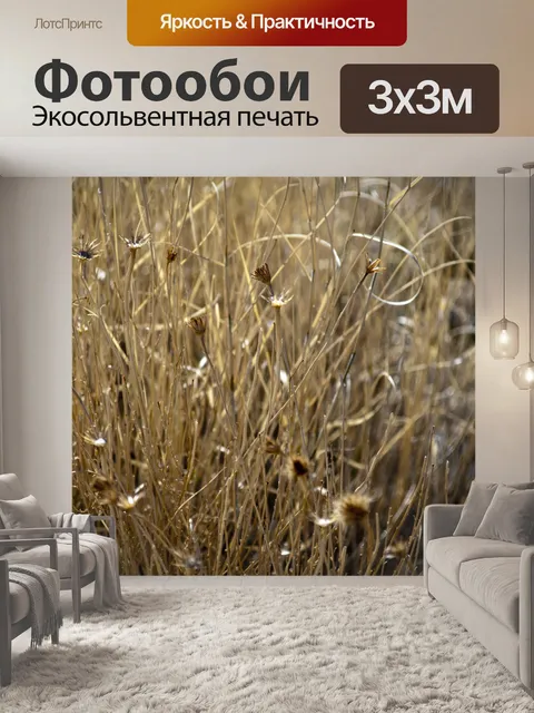Фотообои Пустынный сорняк