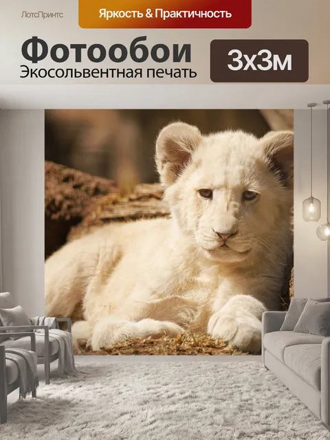 Фотообои Детеныш