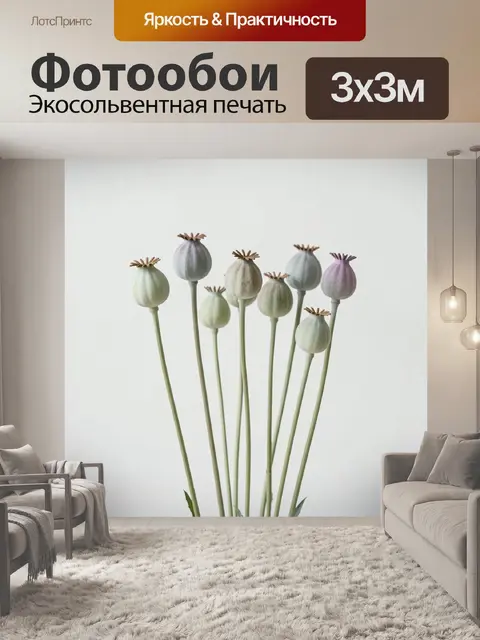 Фотообои Нежные маковые коробочки на стеблях