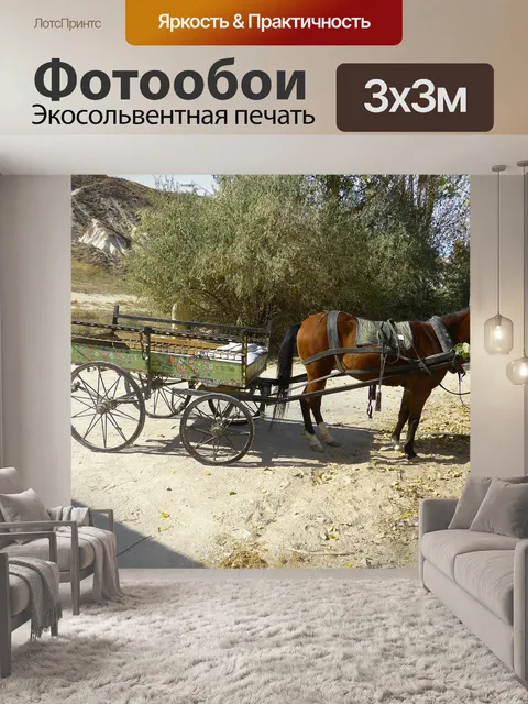 Фотообои Тренер