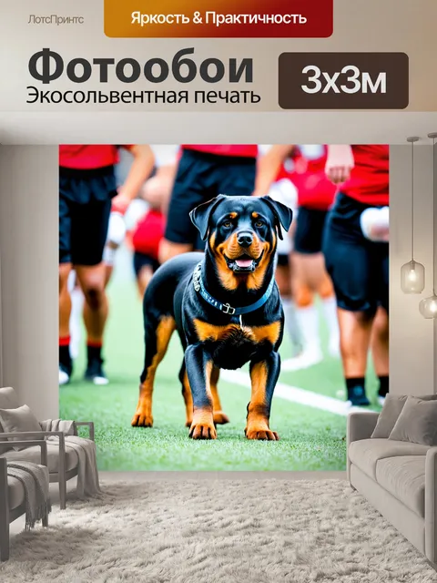 Фотообои ротвейлер, возглавляющий команду собачьих спорта, с настойчивым взглядом