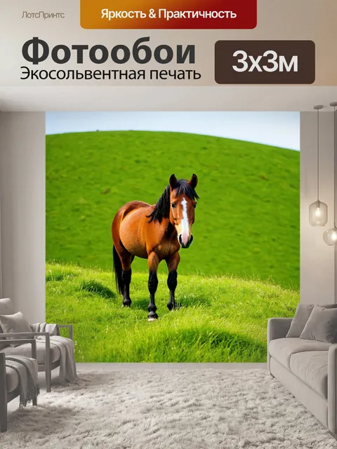 Фотообои пони на зеленом холме, смотрящем в далекое будущее