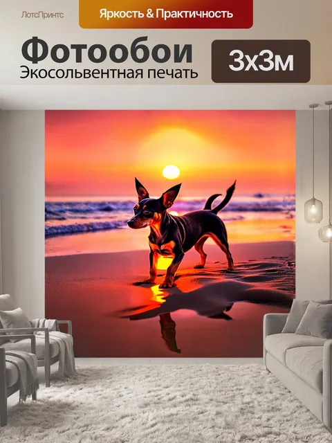 Фотообои маленькая собака, милый пинчер, играет с яркой игрушкой на песчаном пляже, в то время как закат окрашивает…
