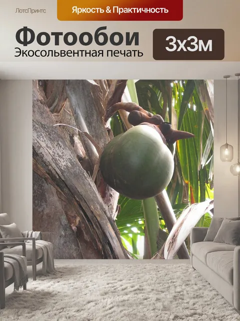 Фотообои Коко де мер