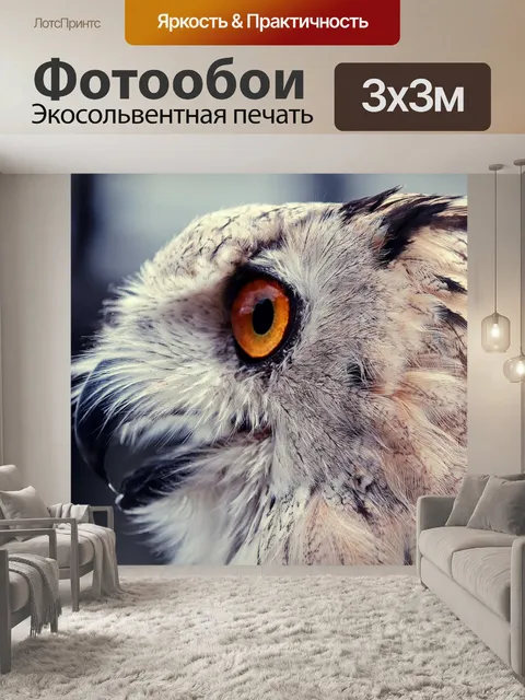 Фотообои Филин