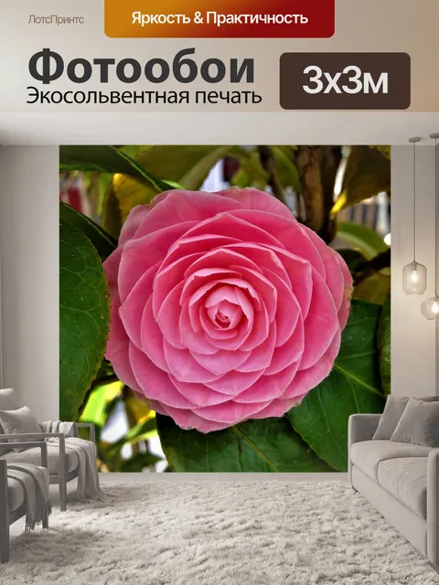 Фотообои Розы