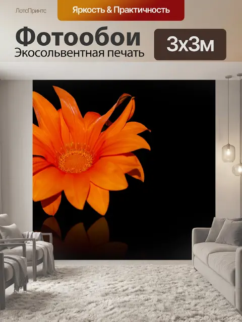Фотообои Оранжевый цветок, оранжевые лепестки