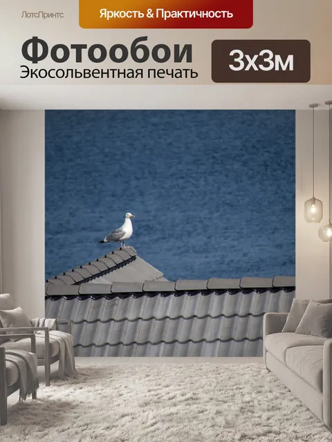 Фотообои Чайка