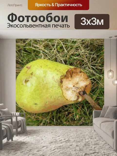 Фотообои гнилая груша