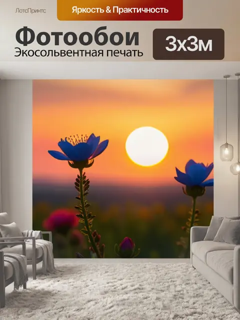 Фотообои цветы, распустившиеся на фоне заката