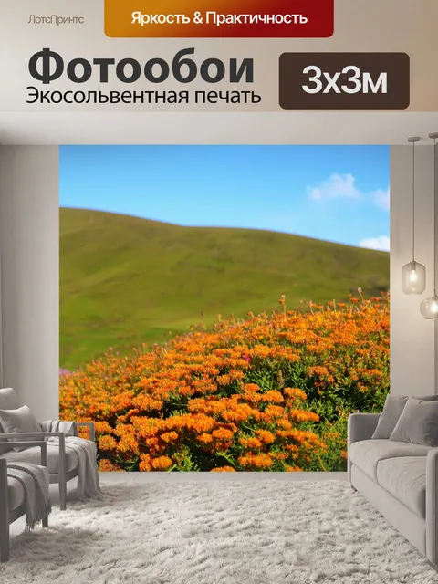 Фотообои вереск на фоне живописных шотландских холмов, яркие цветы охрового цвета на фоне нежного синего неба