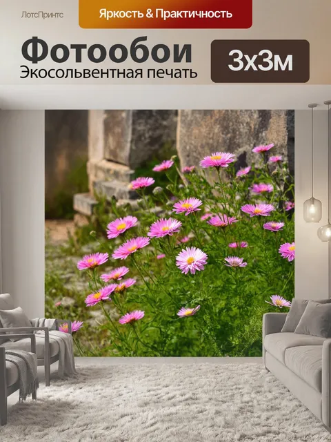 Фотообои розовые астра, расцветающие на фоне старинного каменного забора, создавая контраст природы и архитектуры