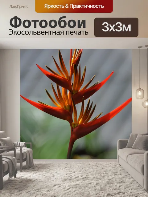 Фотообои Цветок