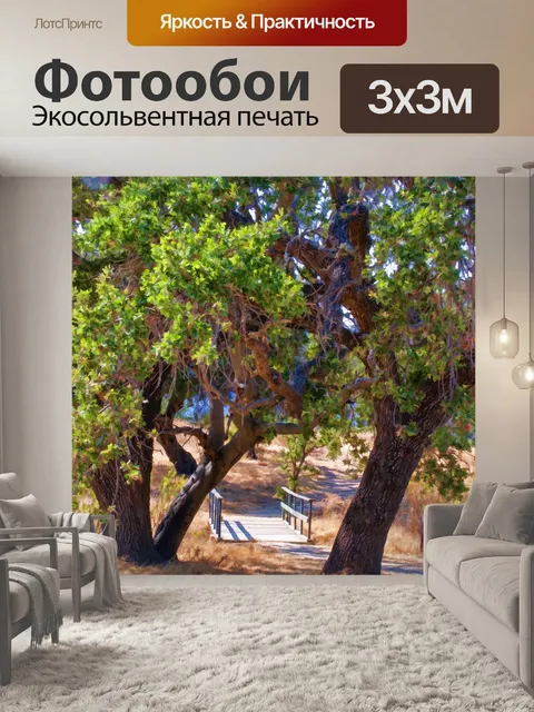 Фотообои Сельский мост