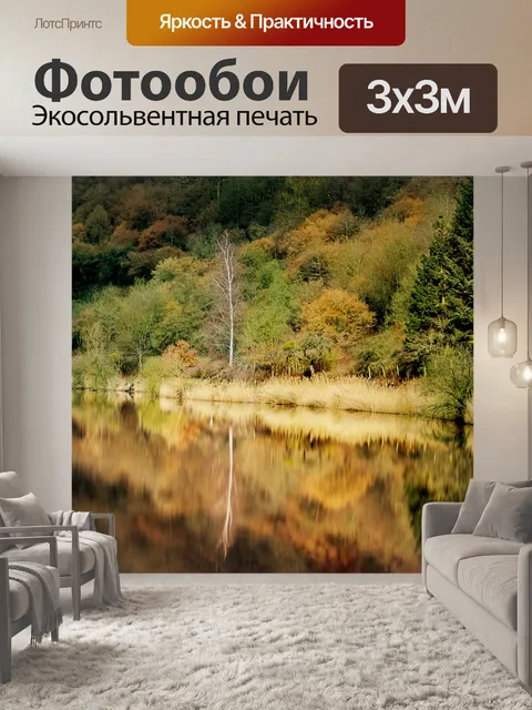 Фотообои Лес