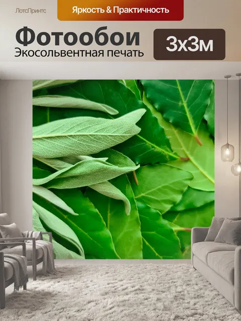 Фотообои Зеленый шалфей и лавровый лист