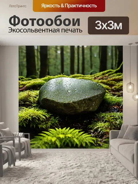 Фотообои камень, окружённый мшистыми растениями в густом лесу, с каплями росы, отражающими солнечный свет